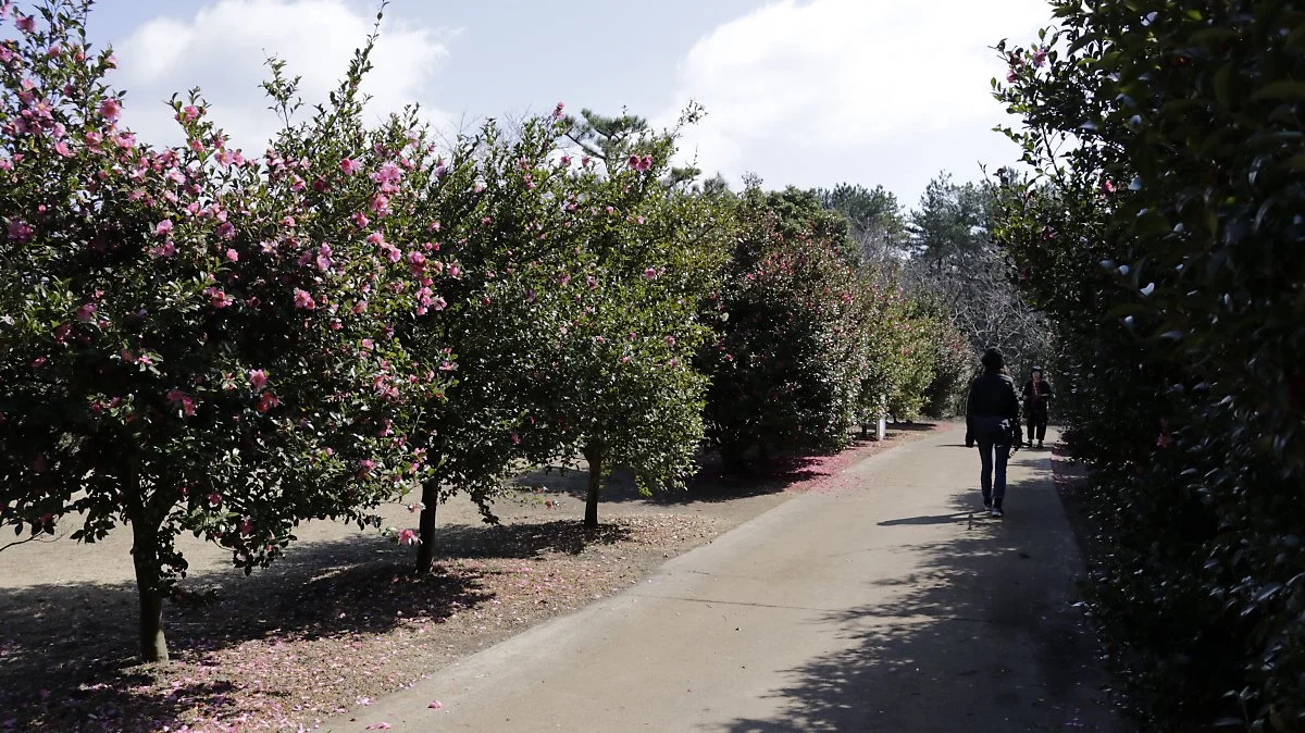 %EC%B9%B4%EB%A9%9C%EB%A6%AC%EC%95%84%ED%9E%90.JPG?type=w1200