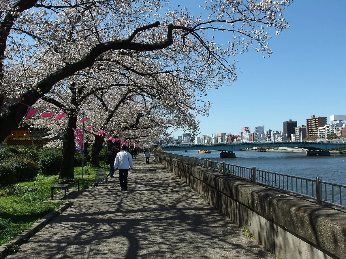 13582266185_65f18d4844_k.jpg?type=w1200