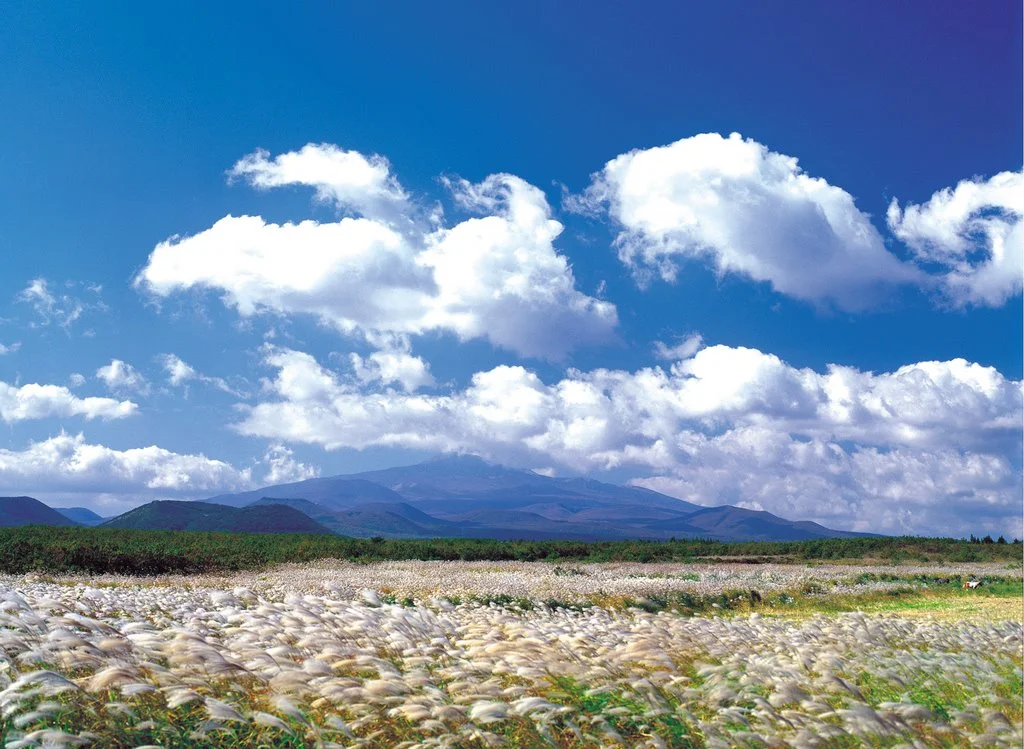 %EC%A0%9C%EC%A3%BC1_Republic_of_Korea.jpg?type=w1200