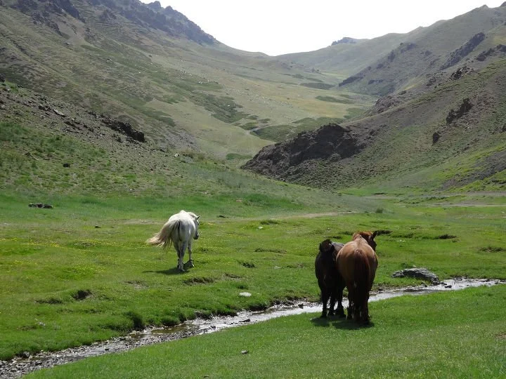 %EB%8B%A4%EC%9A%B4%EB%A1%9C%EB%93%9C_%2815%29.jpg?type=w1200