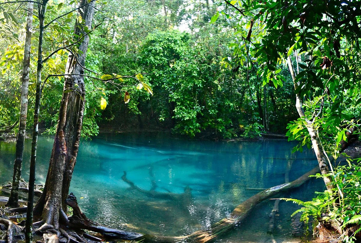 image_9709608611526631617511.jpg?type=w1200