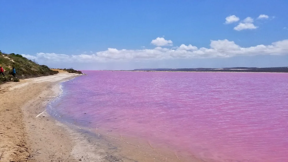 45081885984_94a343807a_k.jpg?type=w1200