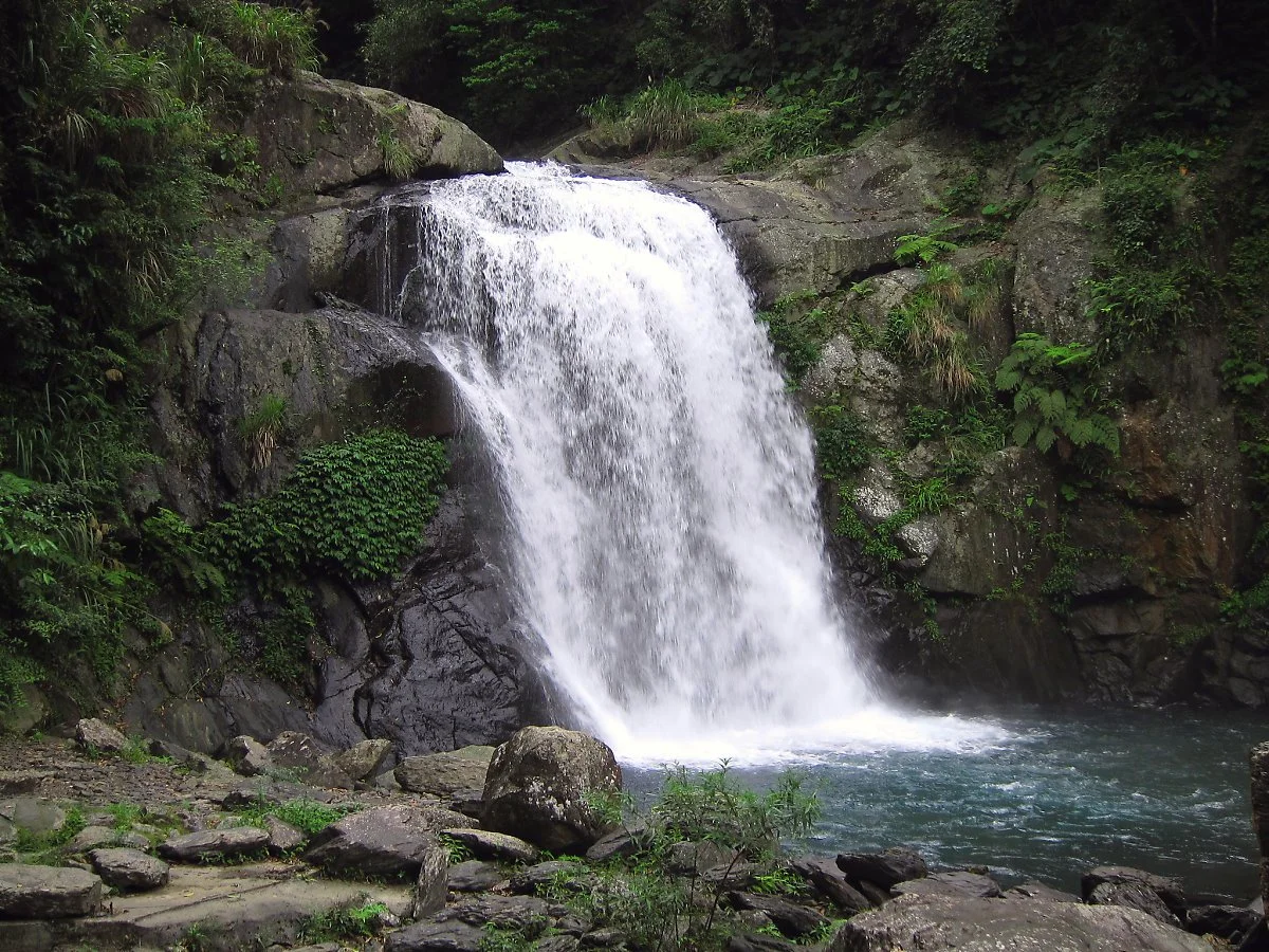 image_7635597011563971702658.jpg?type=w1200