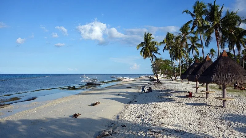 17475450960_08e65ab03c_c.jpg?type=w1200