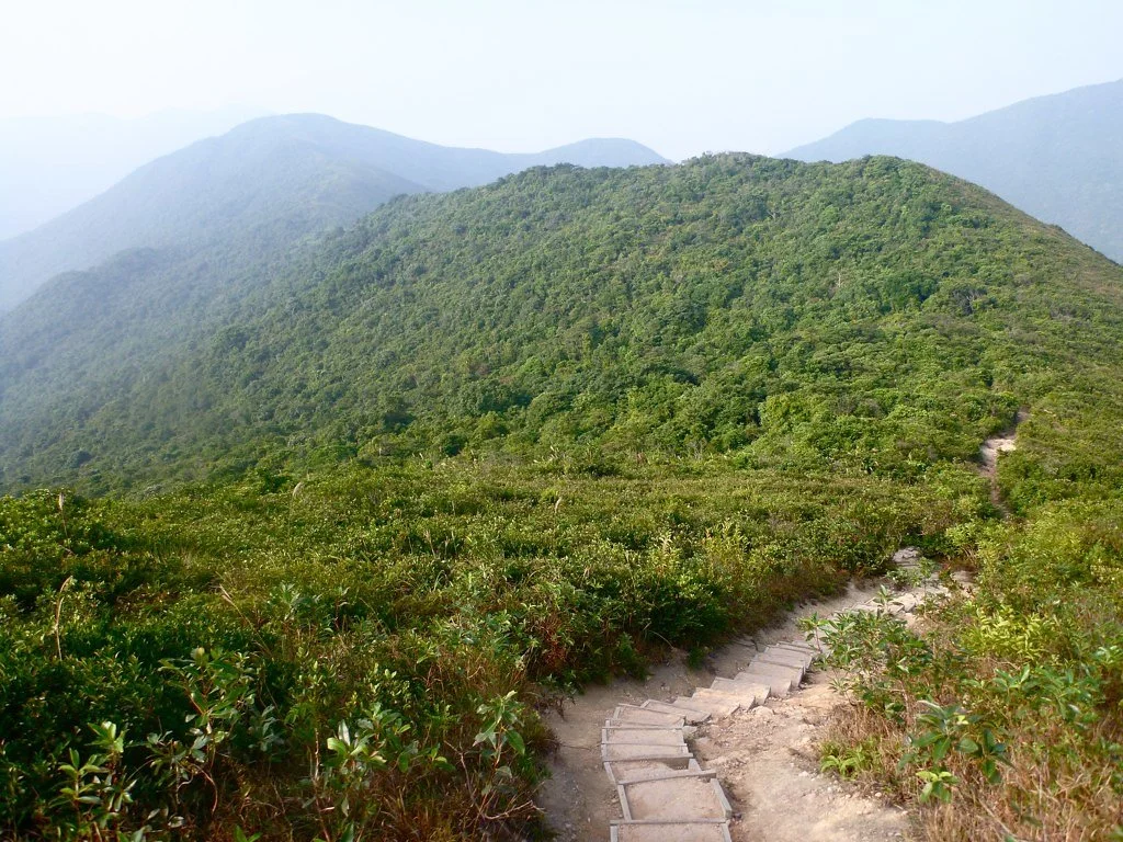 6376795763_a907b90cfe_b.jpg?type=w1200