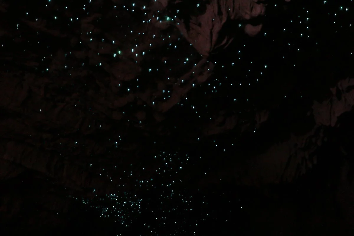 41090093052_5d1f2d503d_k.jpg?type=w1200