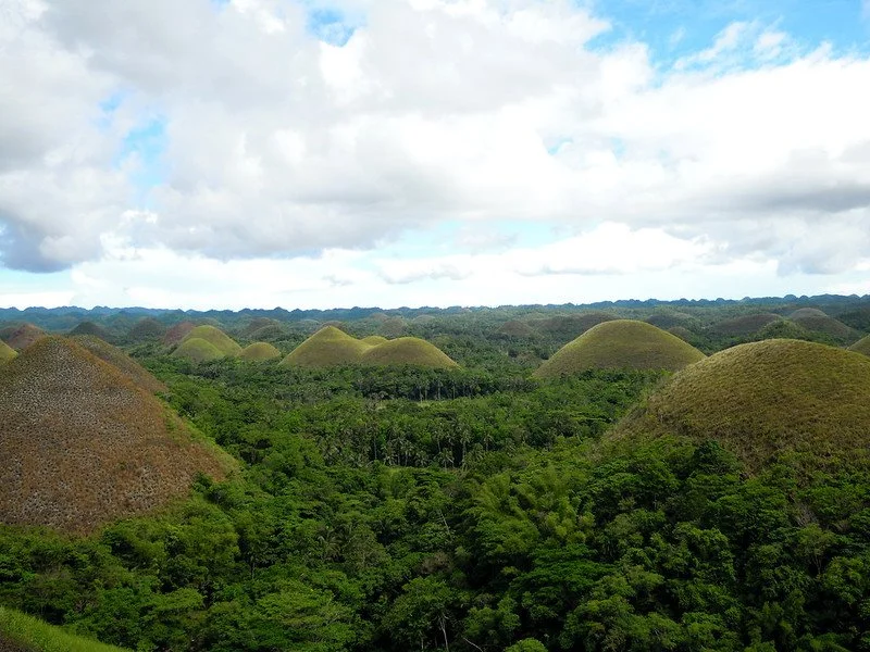 11558231443_1ab687fa5e_c.jpg?type=w1200