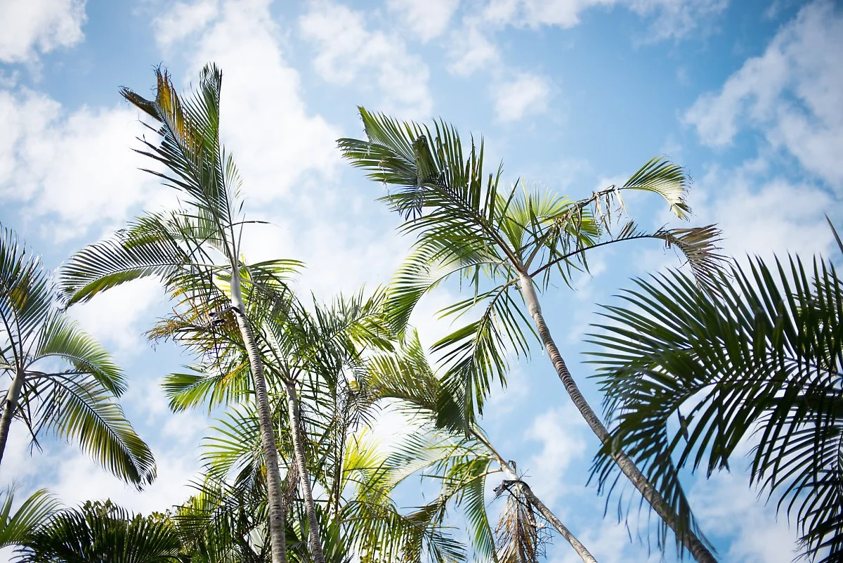 11794151373_71170dd852_k.jpg?type=w1200