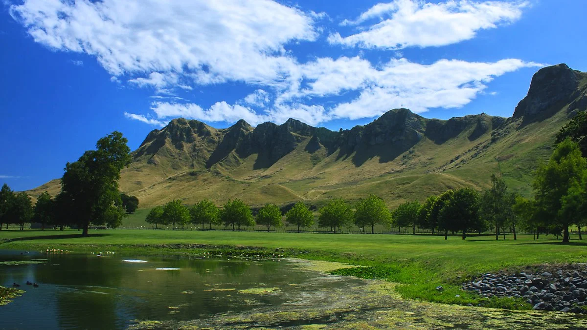 image_5165571311566971679914.jpg?type=w1200