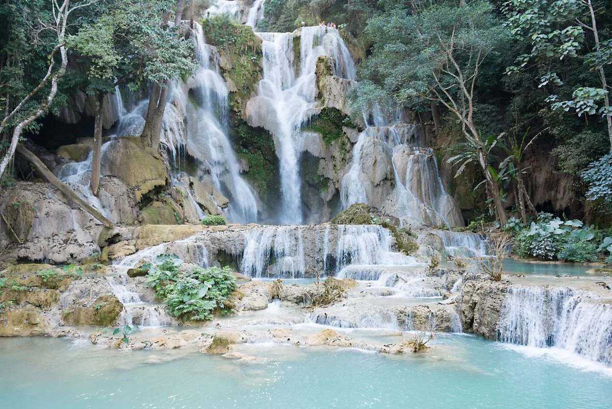 33008595626_e912d4f5b0_k.jpg?type=w1200