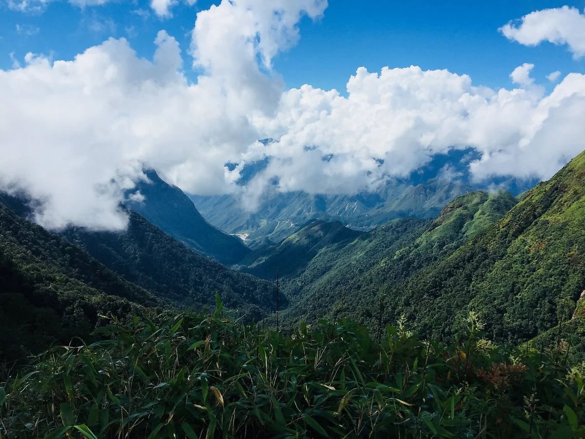 31011346038_7442bc1963_k.jpg?type=w1200