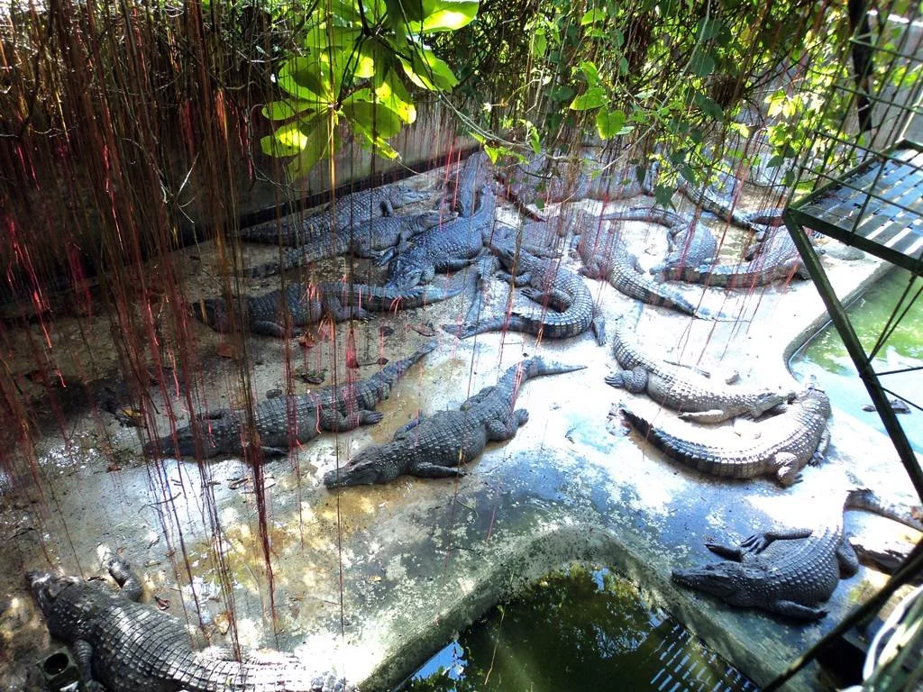 7746260848_7deee52c1c_o.jpg?type=w1200