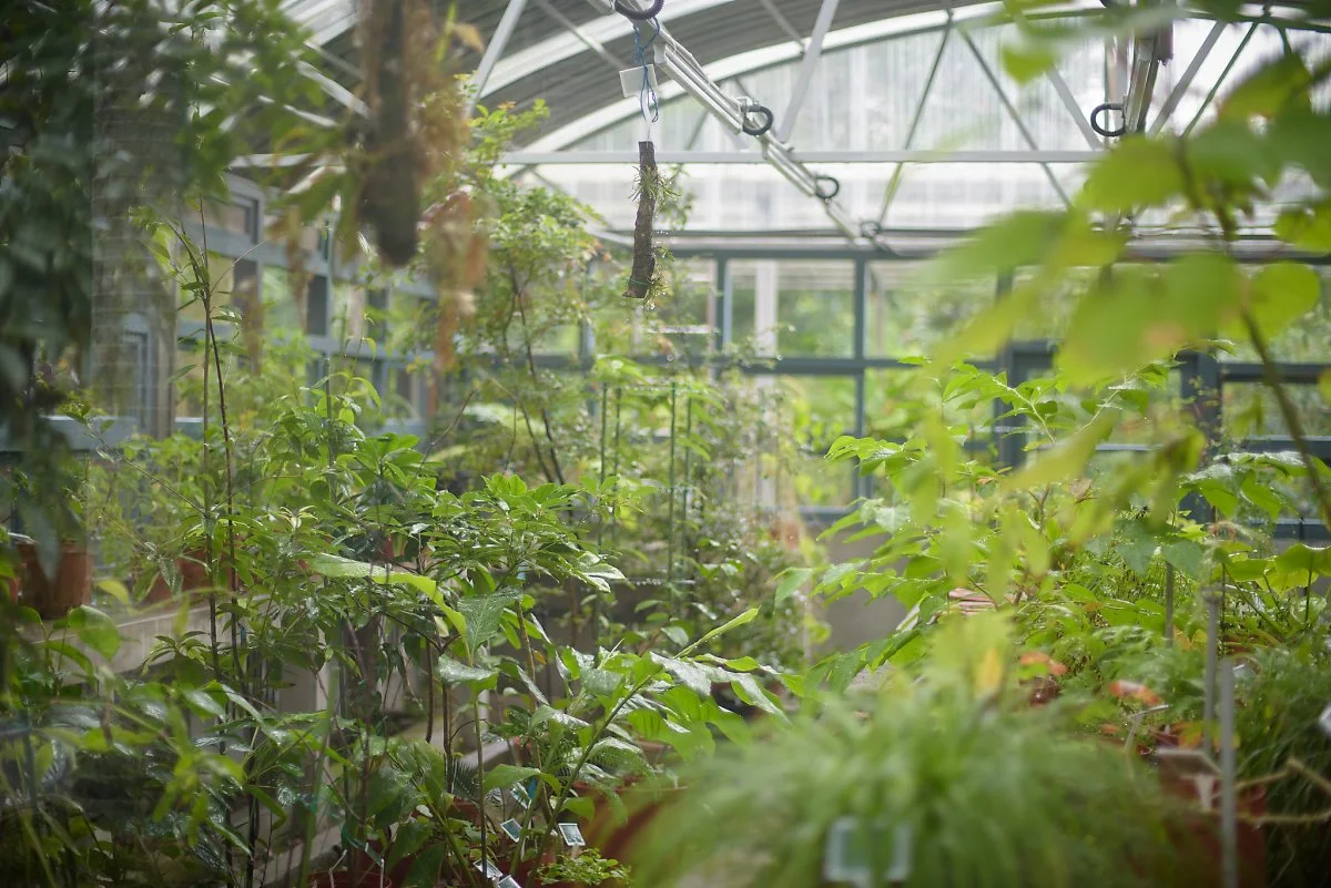 26773539648_9d4f30f992_k.jpg?type=w1200