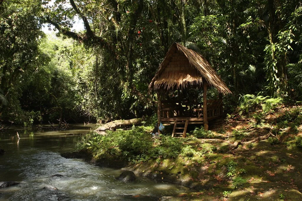 2346999869_1d9fe590fc_b.jpg?type=w1200