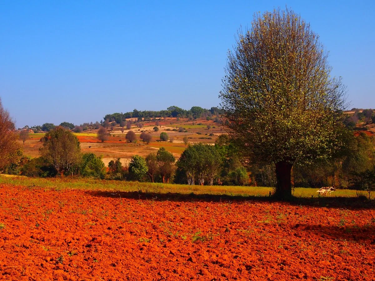 Flickr_Paul_Arps.jpg?type=w1200