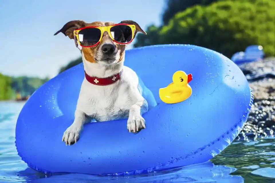 GettyImages-476209941.jpg?resize=800px:99999px&quality=75