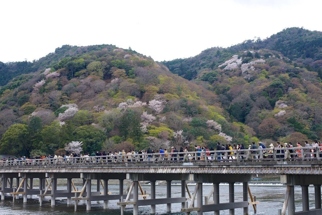 13946923345_99734f8030_b.jpg?type=w1200