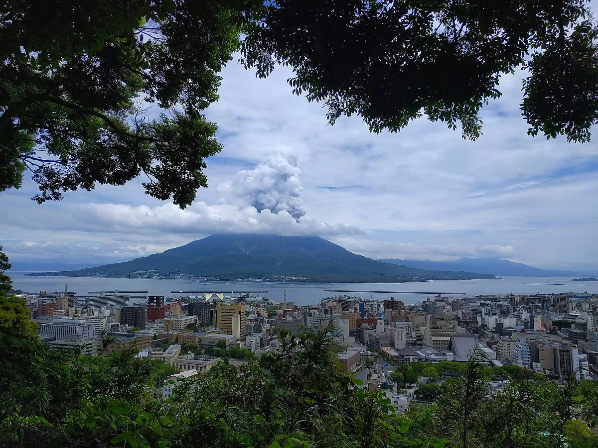 image_7190583911516949078316.jpg?type=w1200