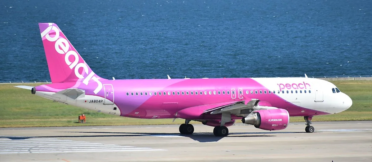 44401157181_17db6e76f7_o.jpg?type=w1200