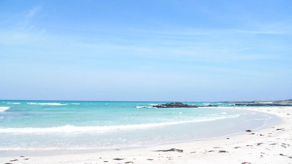 3321579067_568e5ca224_b.jpg?type=w1200