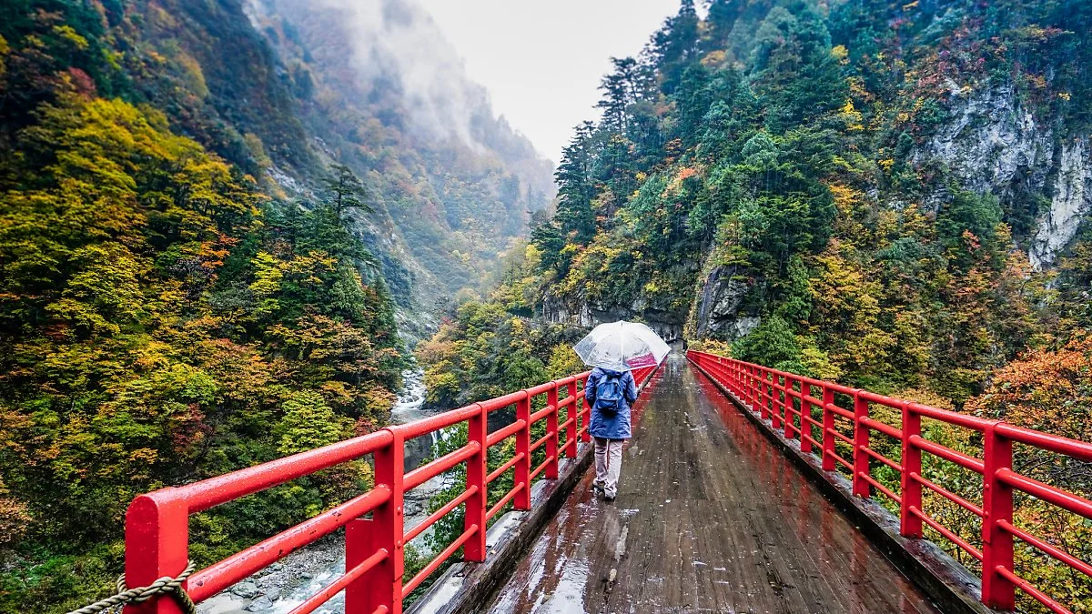 31714104483_2ab37160df_k.jpg?type=w1200