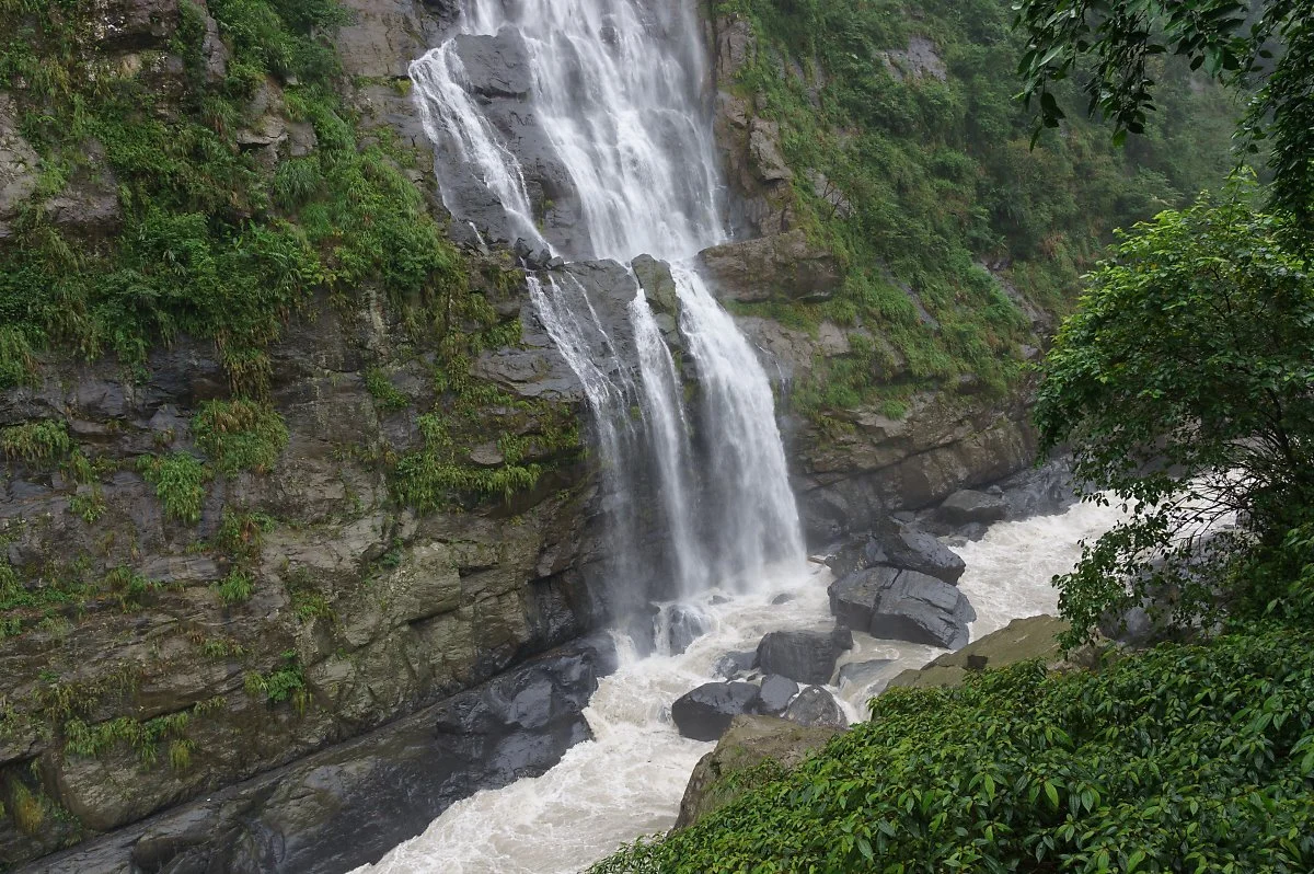 41796825955_5a3de875db_o.jpg?type=w1200