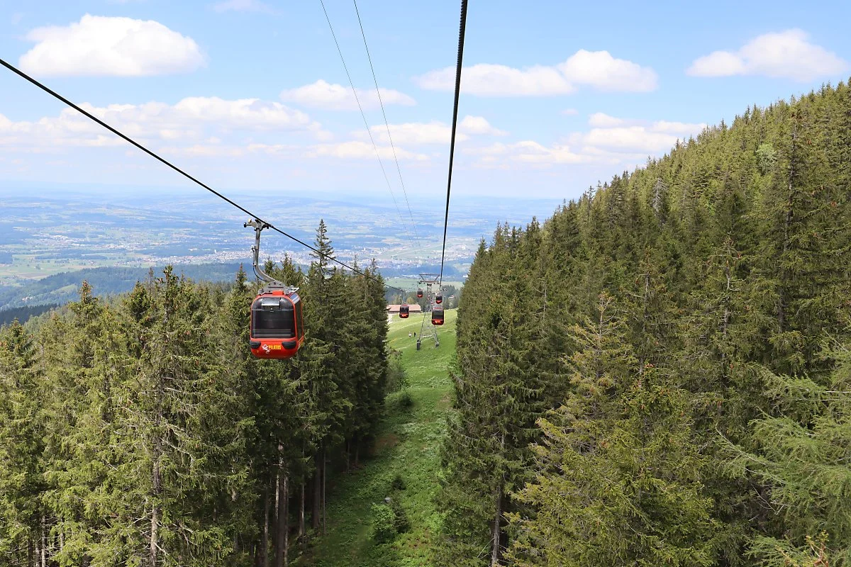 carol-jeng-k7_3l1U4zTk-unsplash.jpg?type=w1200