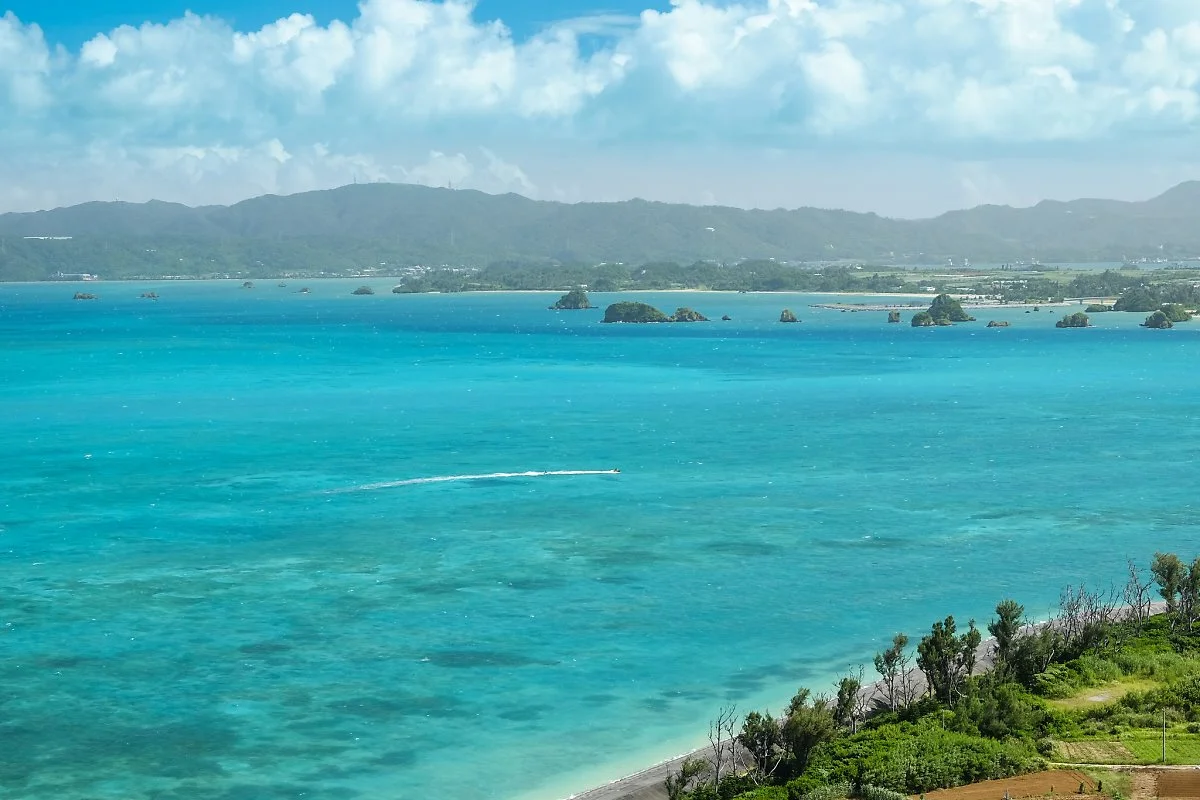 29342069732_8239f8377b_k.jpg?type=w1200