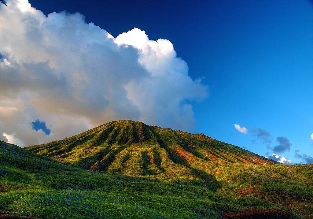 5454005272_cb5296a9ae_b.jpg?type=w1200