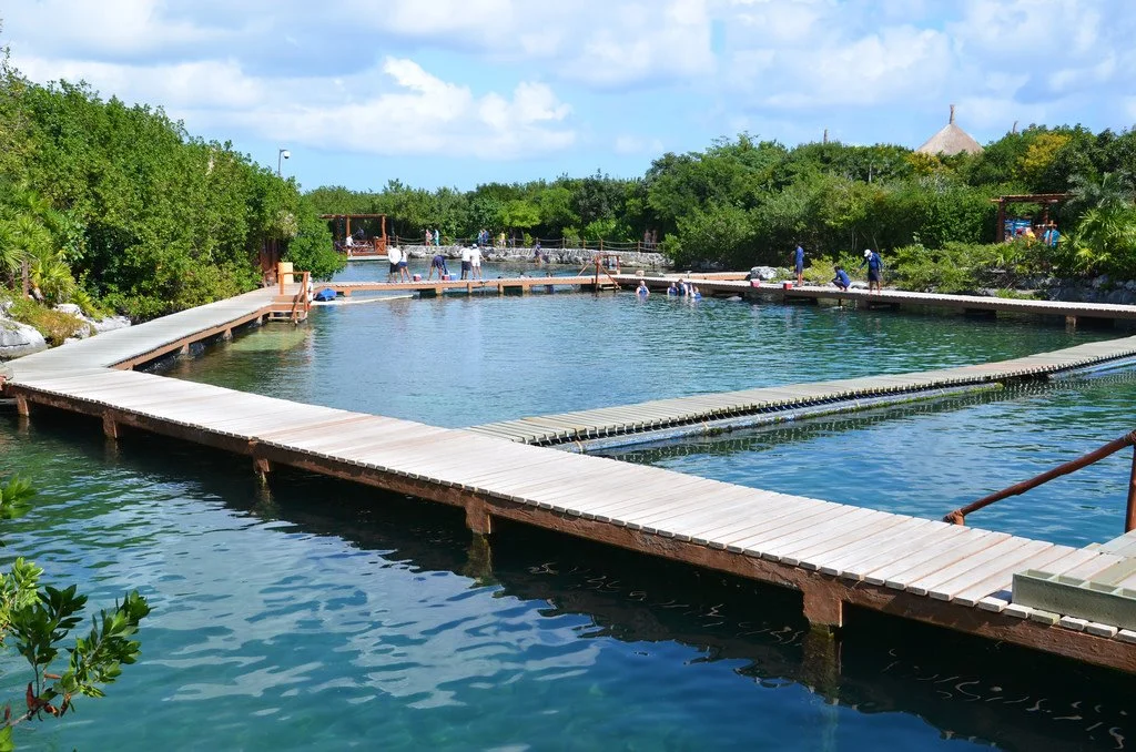 6508779919_1819283dca_b.jpg?type=w1200