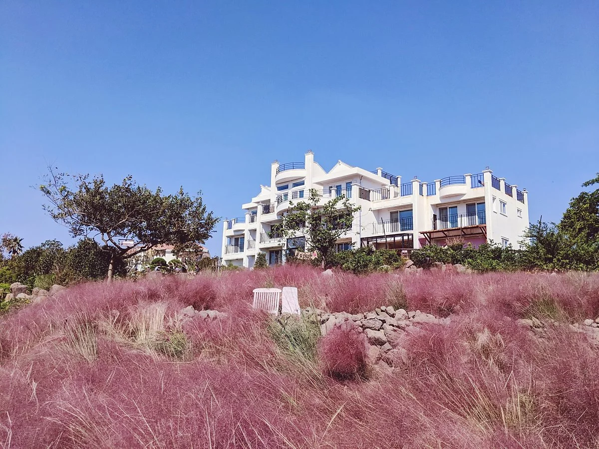 %ED%95%91%ED%81%AC%EB%AE%AC%EB%A6%AC.jpg?type=w1200