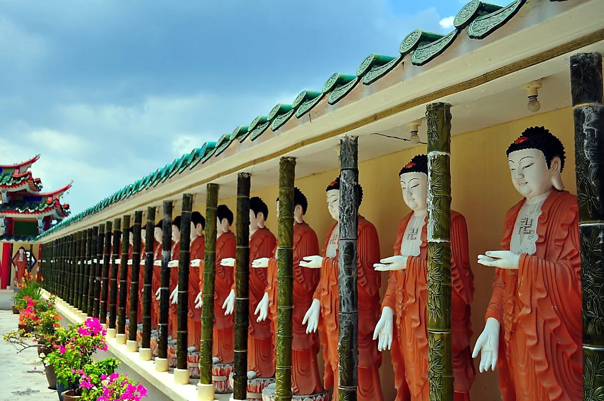 4575044384_f339918b2a_k.jpg?type=w1200