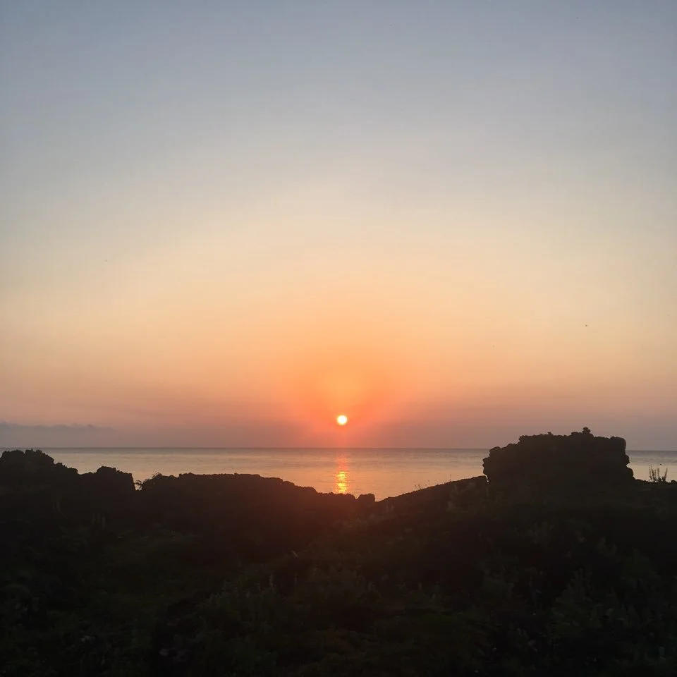 %EC%9D%BC%EB%AA%B0.jpg?type=w1200