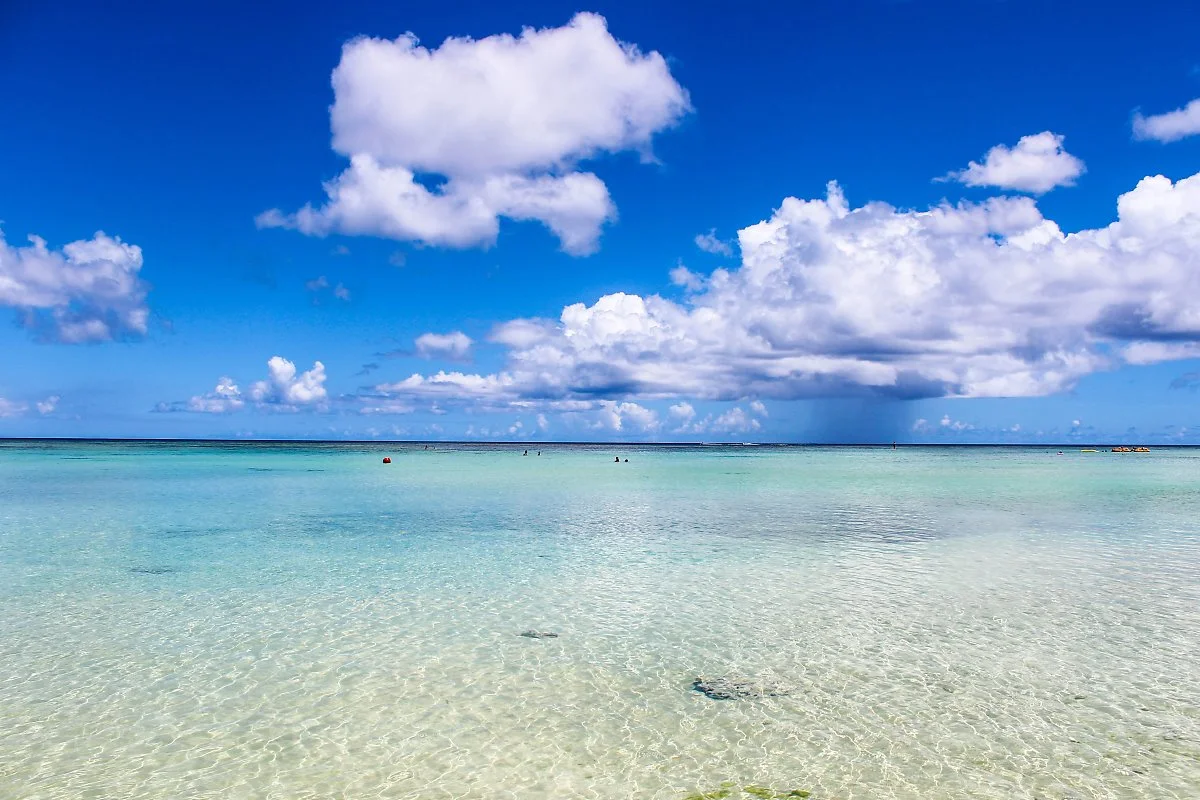 14425053186_249f36b10c_o.jpg?type=w1200