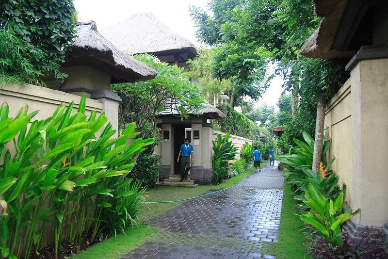 745701537_ba9a44ea2c_c.jpg?type=w1200