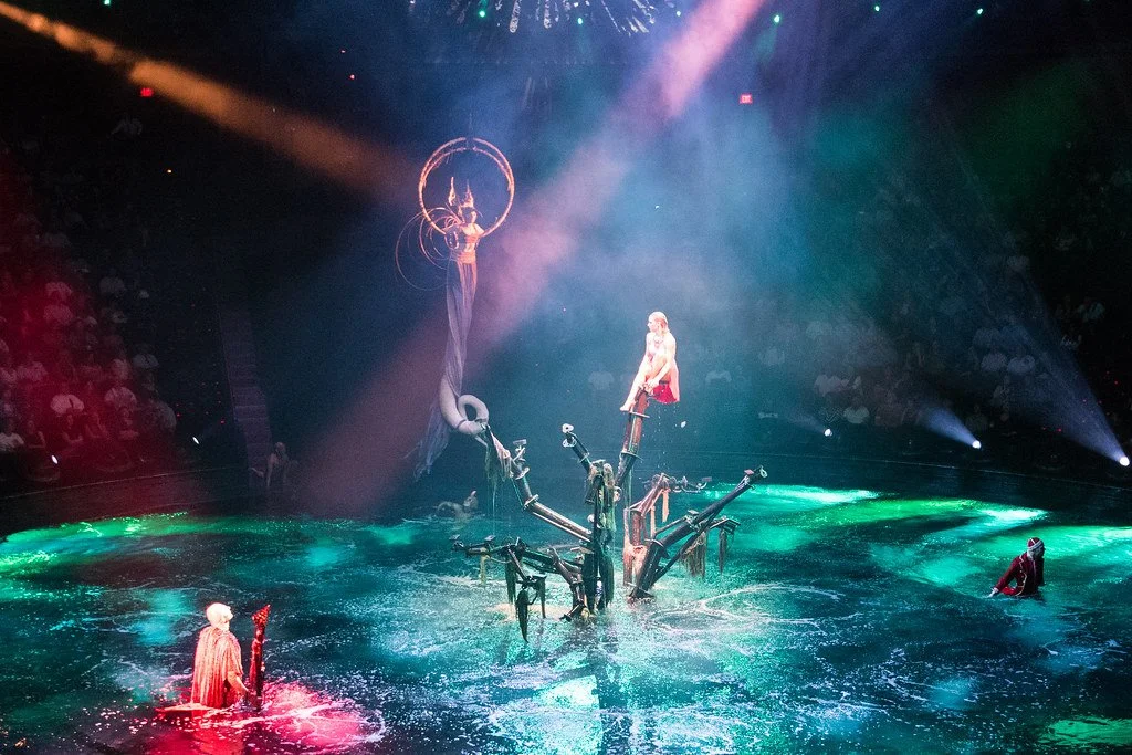 18859561191_94a210fb49_b.jpg?type=w1200