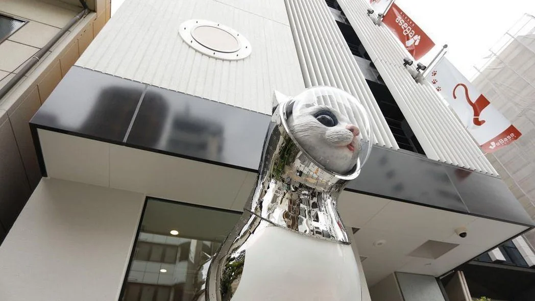 %EC%9C%84%EB%B2%A0%EC%9D%B4%EC%8A%A4_%ED%95%98%EC%B9%B4%ED%83%80.jpg?type=w1200