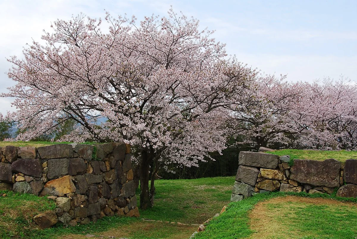 6930868516_3982964c74_k.jpg?type=w1200