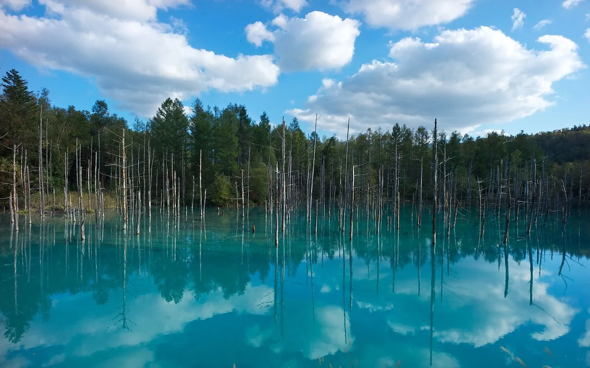 29980550900_9806fa92f2_k.jpg?type=w1200