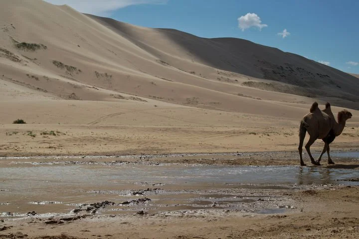 %EB%8B%A4%EC%9A%B4%EB%A1%9C%EB%93%9C_%2817%29.jpg?type=w1200