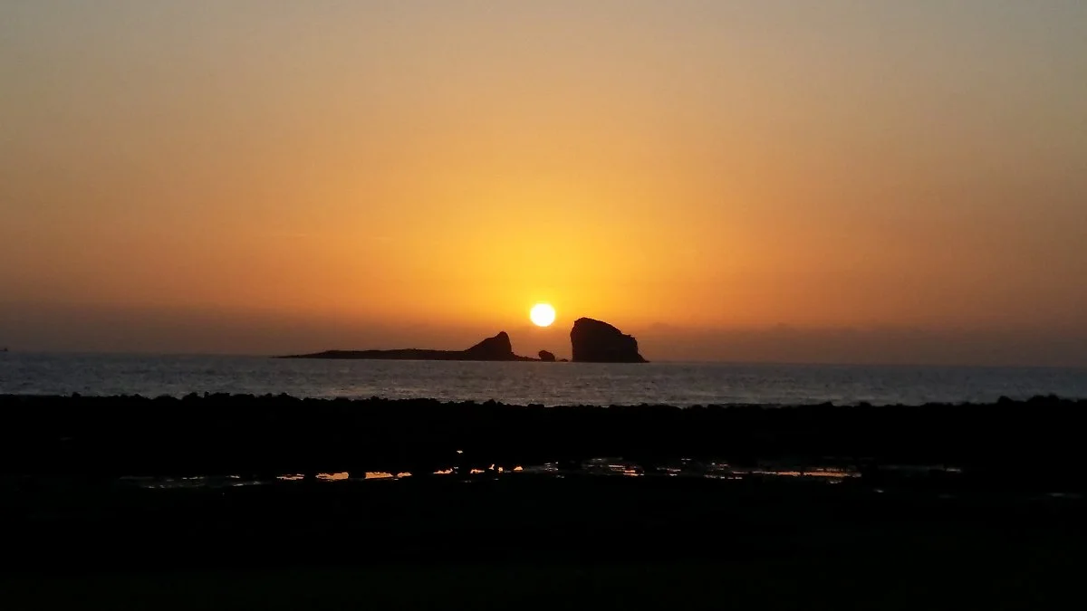 %ED%98%95%EC%A0%9C%EC%84%AC_%EC%9D%BC%EC%B6%9C_%282%29.jpg?type=w1200