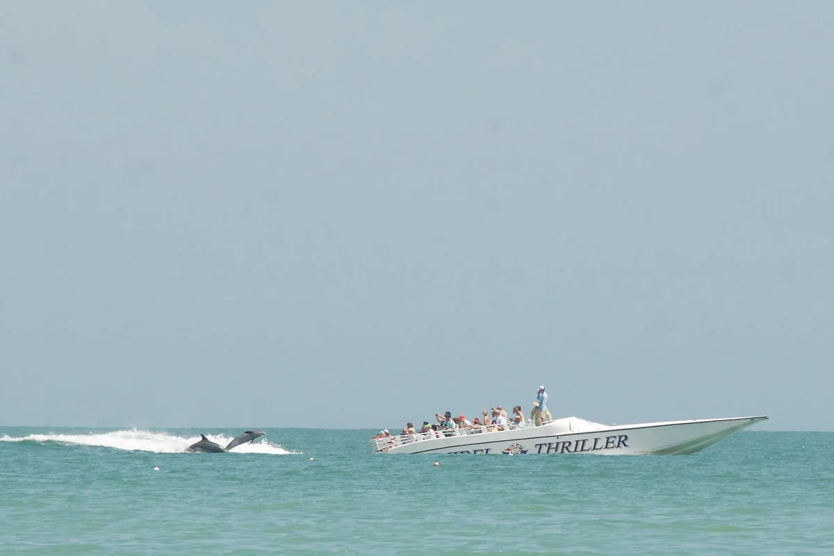 8690610777_4be7a612c8_k.jpg?type=w1200