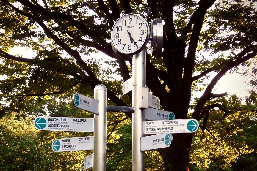 image_3326826621530163234243.jpg?type=w1200