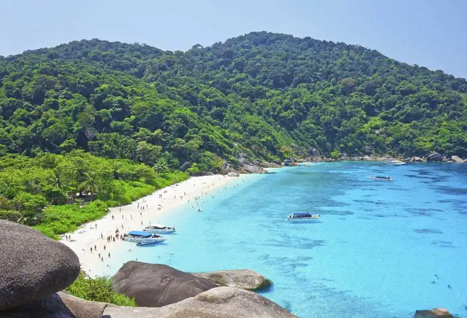 GettyImages-481911965.jpg?resize=800px:99999px&quality=75