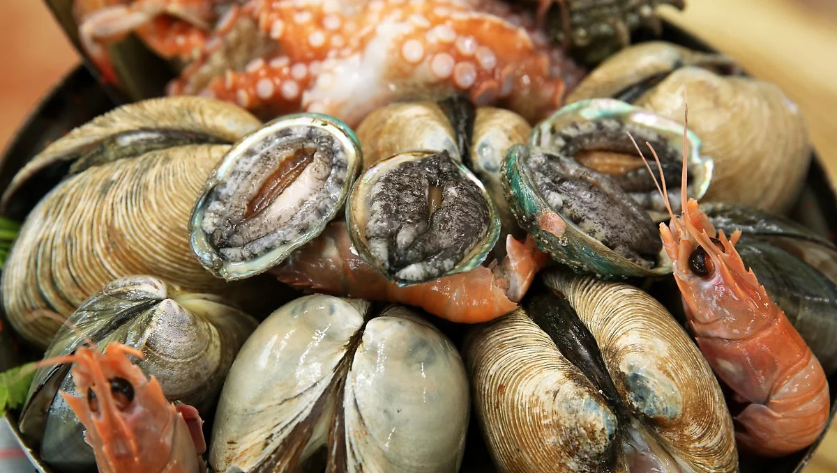 15298415914_c514219296_k.jpg?type=w1200