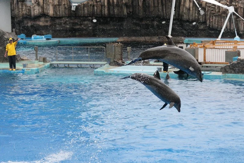 image_2972224231530074849835.jpg?type=w1200