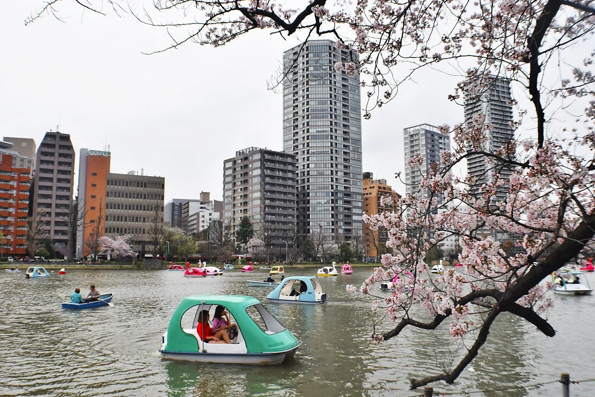 33132097500_1541ecf1c4_k.jpg?type=w1200