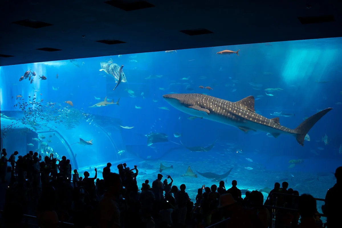 12184350694_9e84335ed0_k.jpg?type=w1200