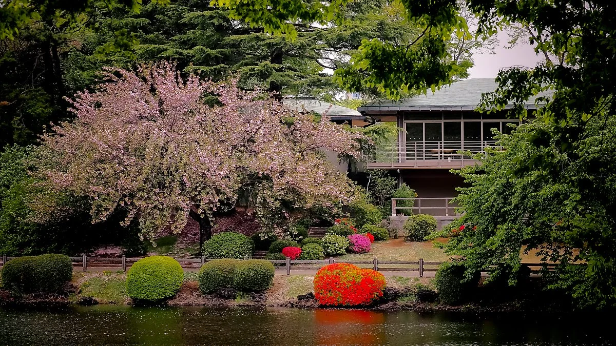 8657295425_ff3f61a3d1_k.jpg?type=w1200