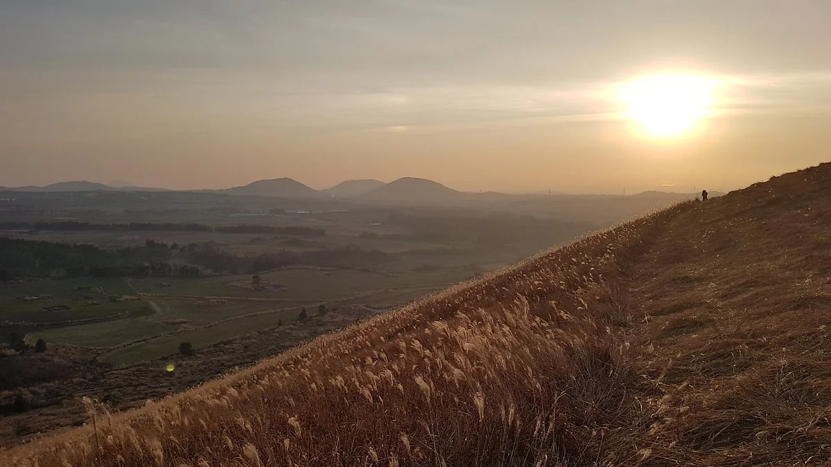 47867076461_30886c506b_k.jpg?type=w1200